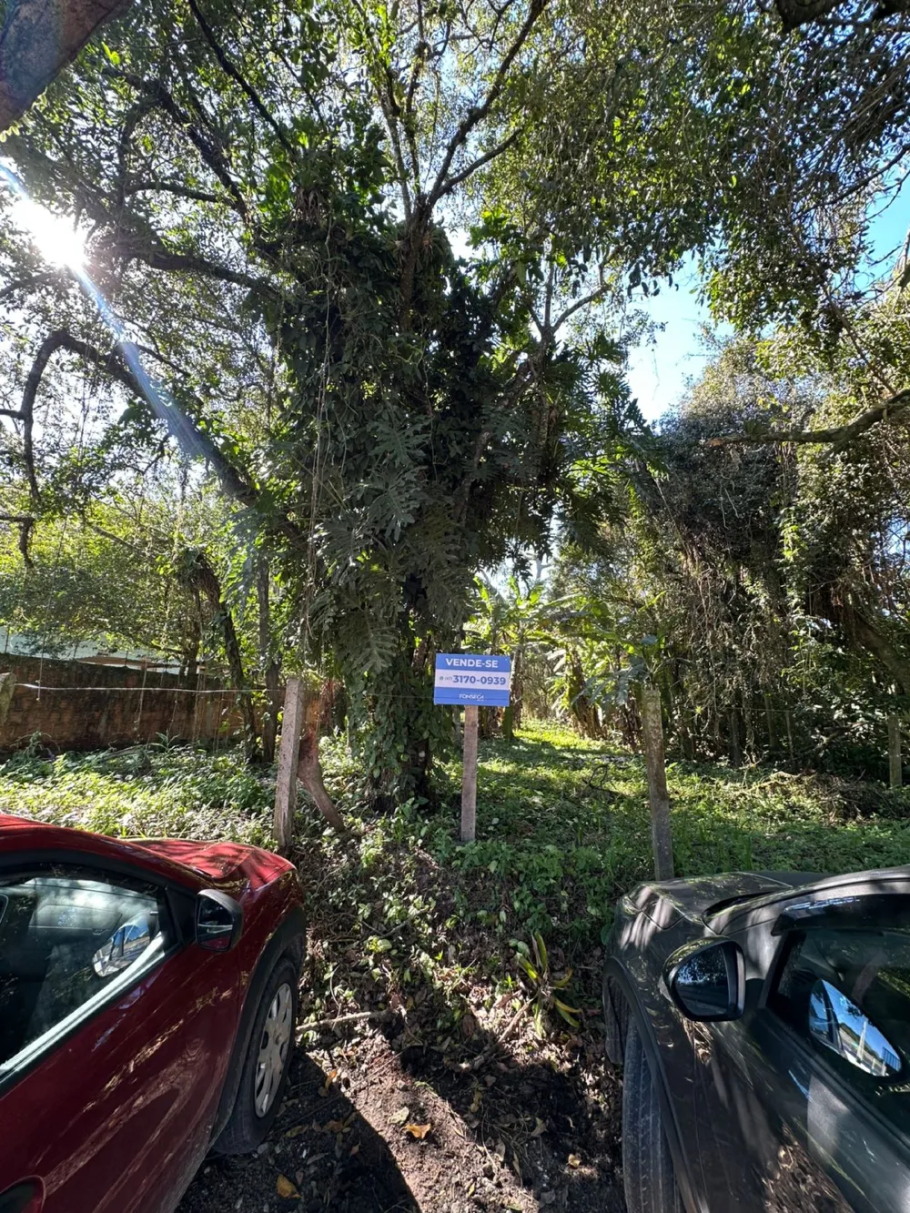 Terreno para venda no bairro Praia do Estaleiro em Balneário Camboriú