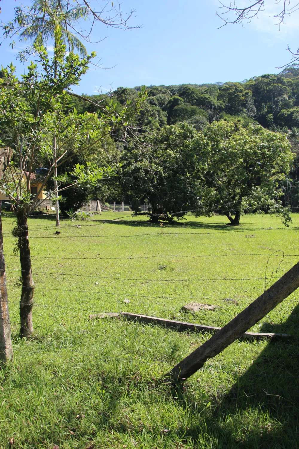 Apartamento para venda no bairro Sertão do Trombudo em Itapema