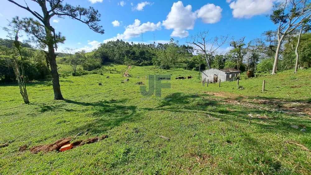 Área de 16 Hectares  Bairro Paciência - ITAJAI