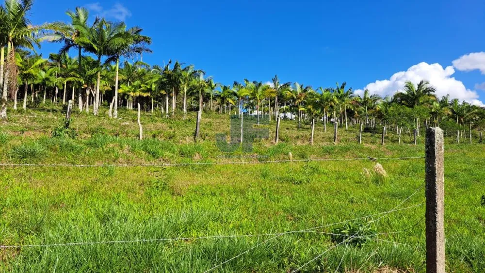 Área de 16 Hectares  Bairro Paciência - ITAJAI