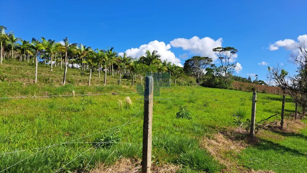 Área de 16 Hectares  Bairro Paciência - ITAJAI