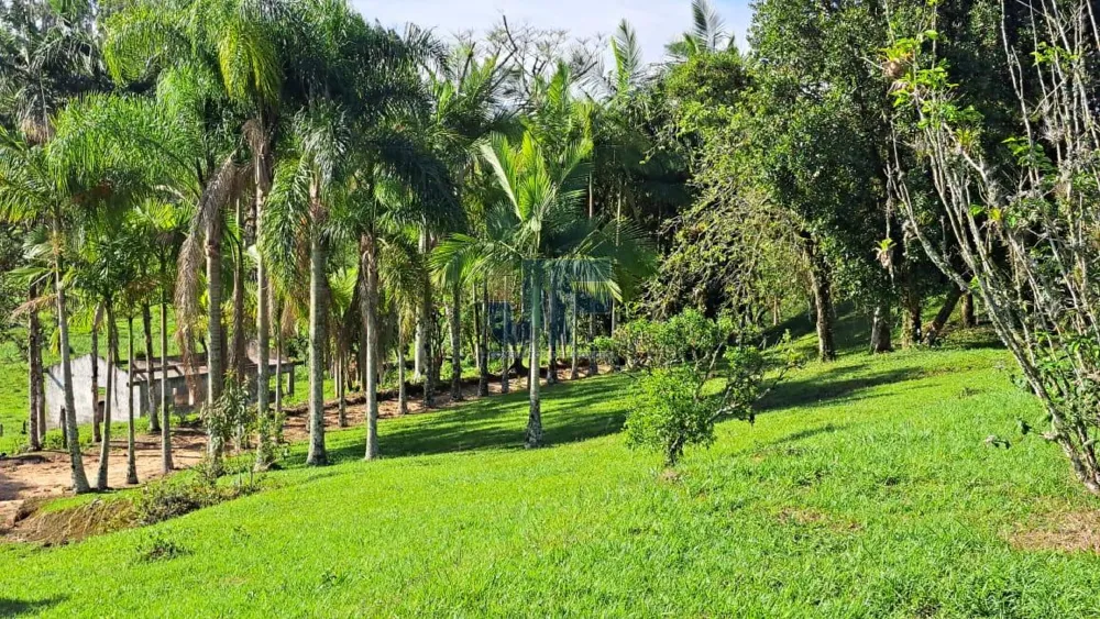 Área de 16 Hectares  Bairro Paciência - ITAJAI