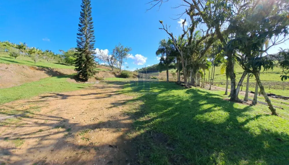 Área de 16 Hectares  Bairro Paciência - ITAJAI
