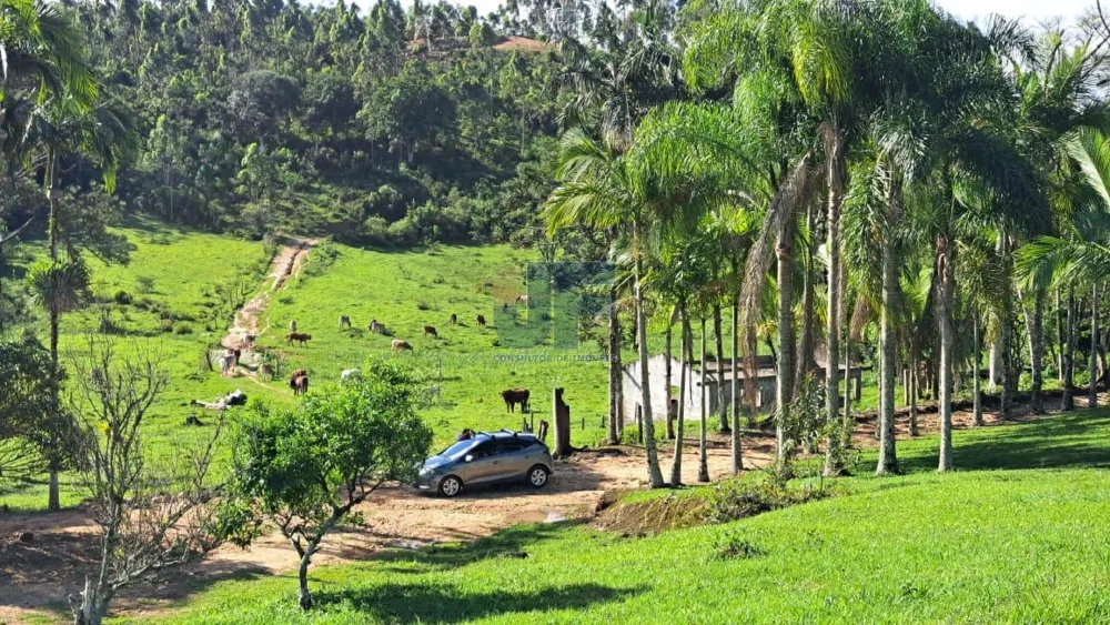 Área de 16 Hectares  Bairro Paciência - ITAJAI