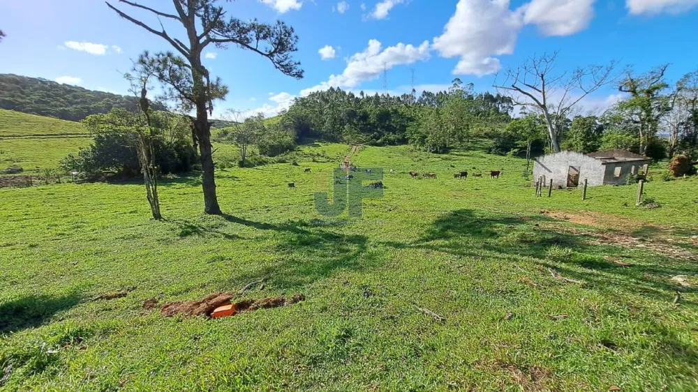 Área de 16 Hectares  Bairro Paciência - ITAJAI