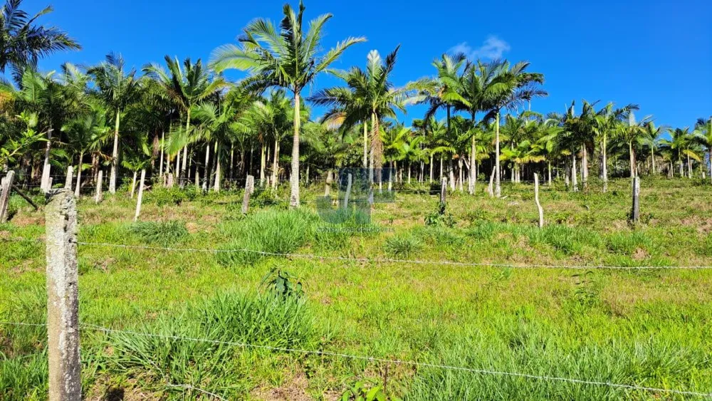 Área de 16 Hectares  Bairro Paciência - ITAJAI