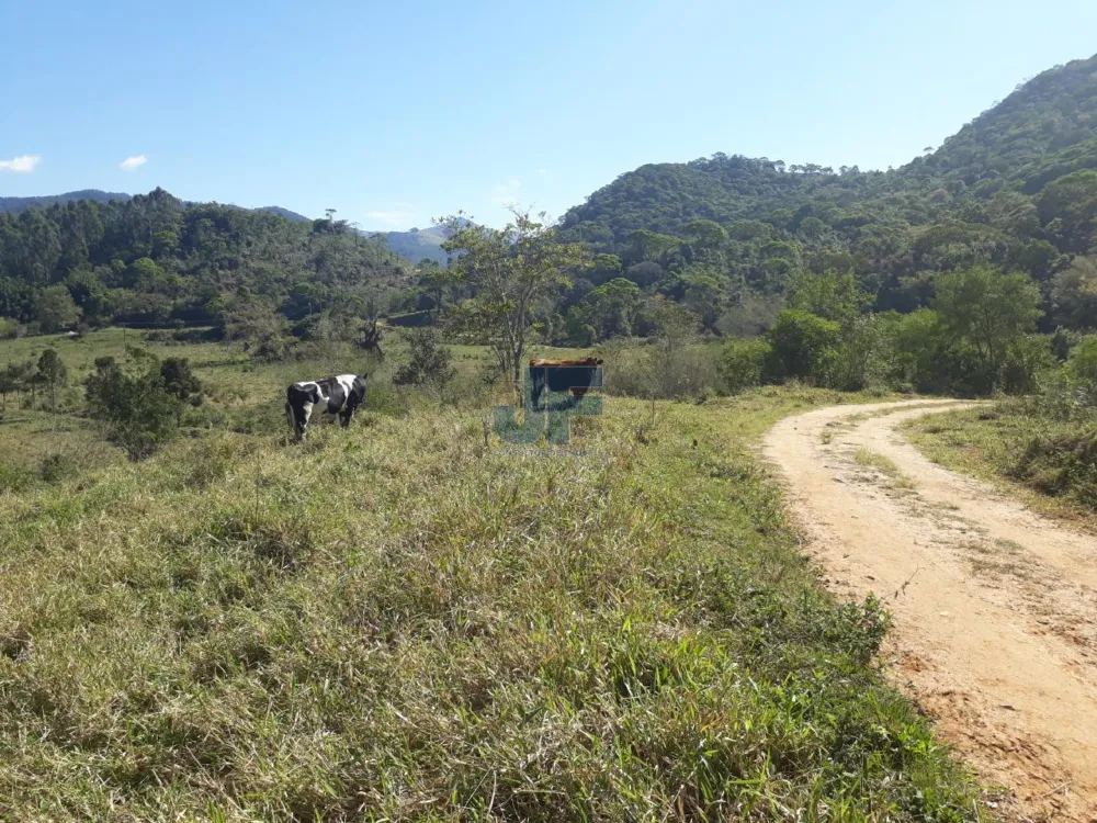 Essa fazenda no bairro Penha, em Paulo Lopes/SC, é uma oportunidade excepcional 
