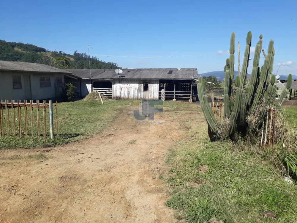 Essa fazenda no bairro Penha, em Paulo Lopes/SC, é uma oportunidade excepcional 