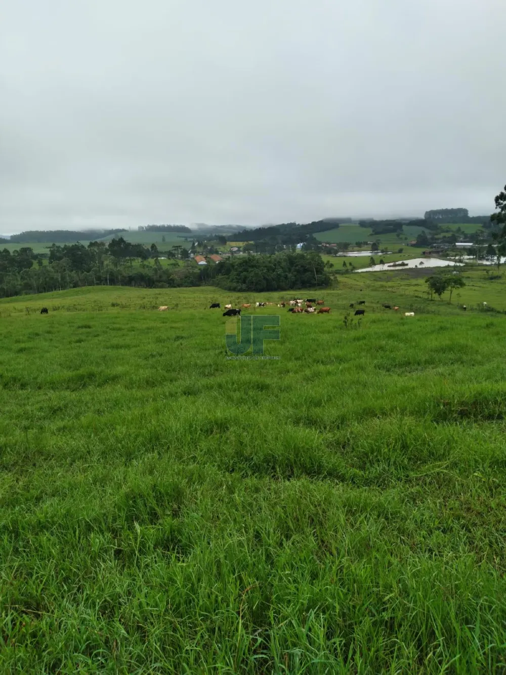 Fazenda a venda em Salete SC Alto Vale do Itajaí