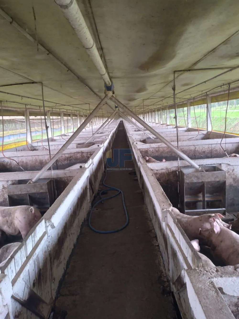 Fazenda a venda em Salete SC Alto Vale do Itajaí