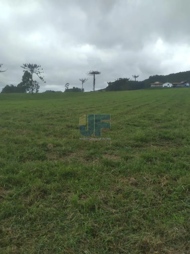 Fazenda a venda em Salete SC Alto Vale do Itajaí