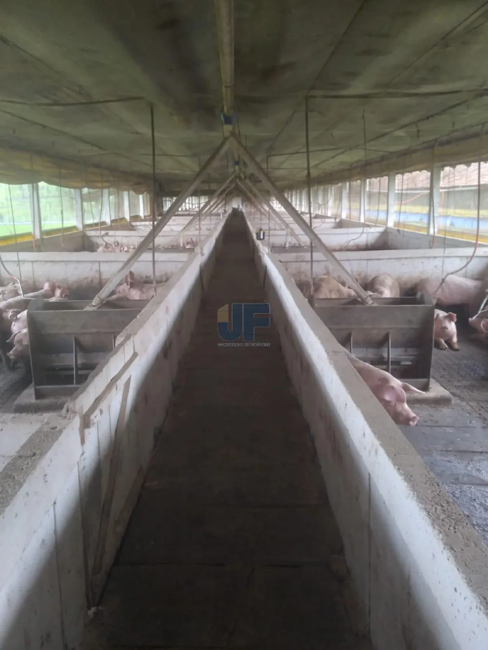 Fazenda a venda em Salete SC Alto Vale do Itajaí