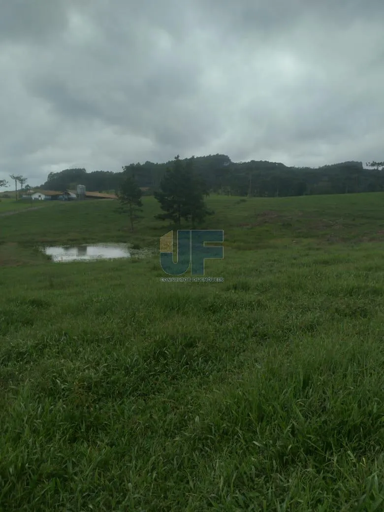 Fazenda a venda em Salete SC Alto Vale do Itajaí