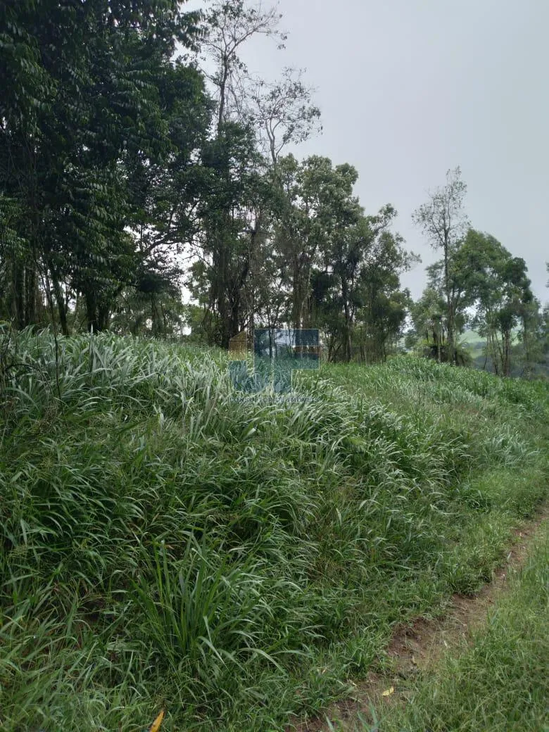 Fazenda a venda em Salete SC Alto Vale do Itajaí