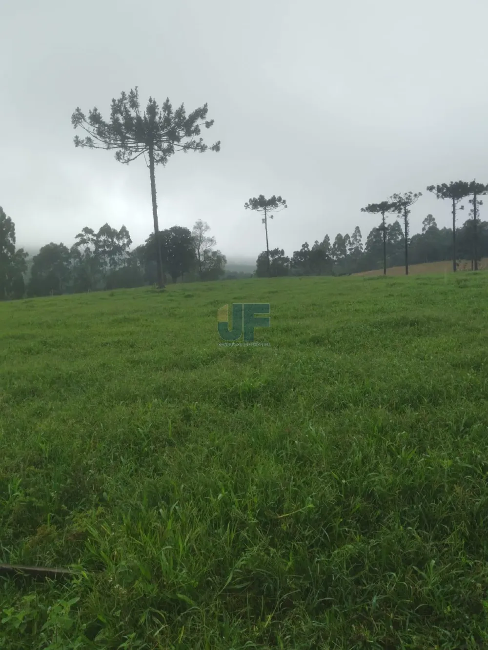 Fazenda a venda em Salete SC Alto Vale do Itajaí