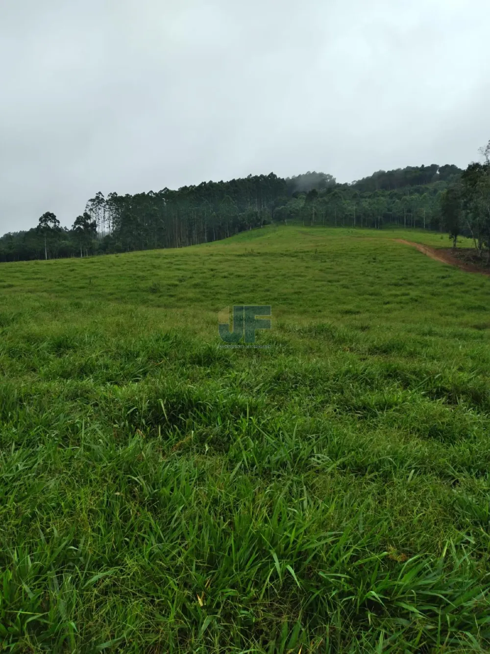 Fazenda a venda em Salete SC Alto Vale do Itajaí