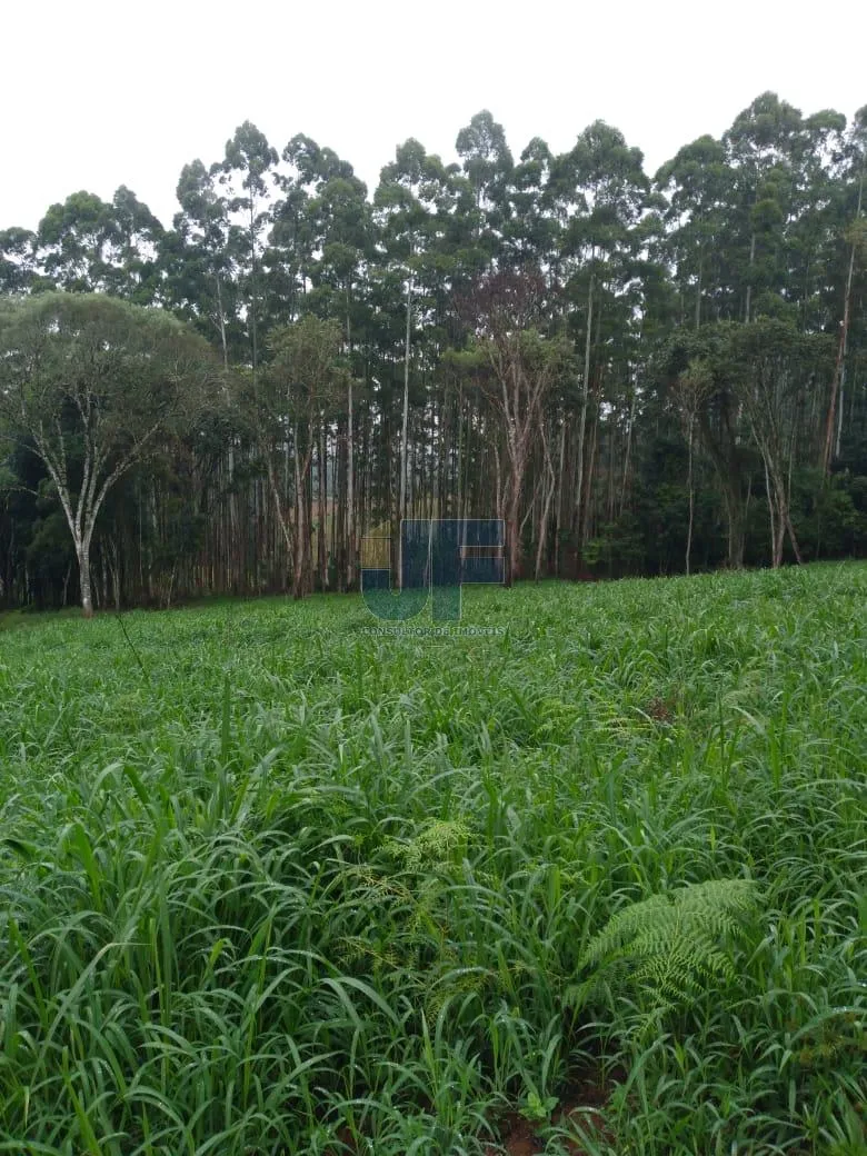 Fazenda a venda em Salete SC Alto Vale do Itajaí