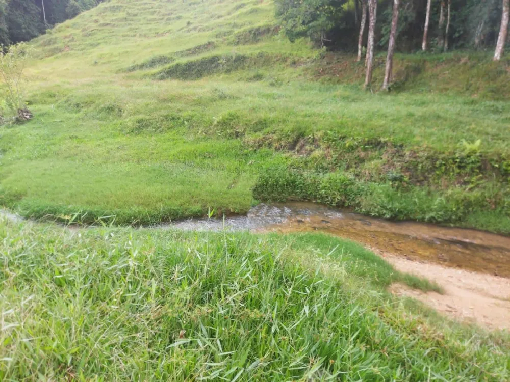 Essa propriedade em Brusque/SC com 139.260 m² é uma excelente oportunidade .