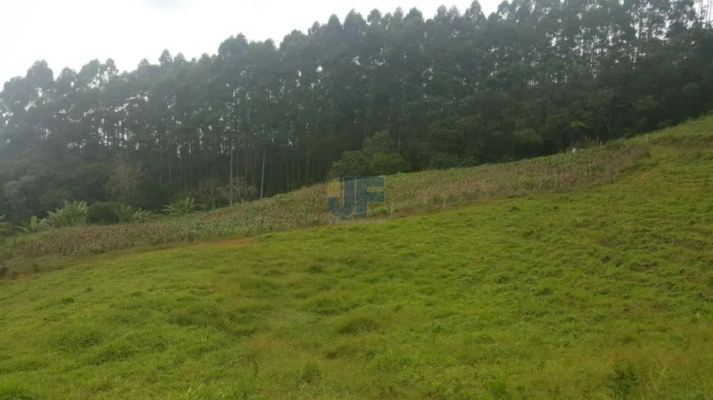 TERRENO COM PASTAGEM A VENDA EM NOVA TRENTO COM PASTO E CAHOEIRA