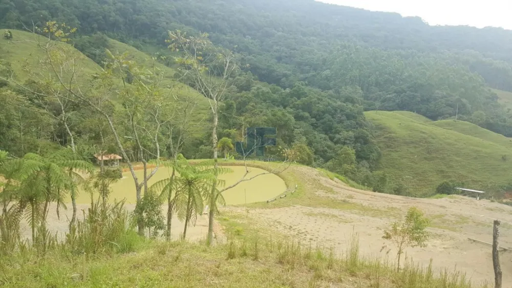 TERRENO COM PASTAGEM A VENDA EM NOVA TRENTO COM PASTO E CAHOEIRA