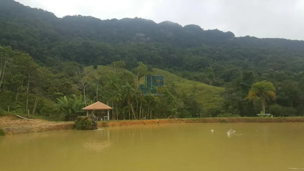 TERRENO COM PASTAGEM A VENDA EM NOVA TRENTO COM PASTO E CAHOEIRA