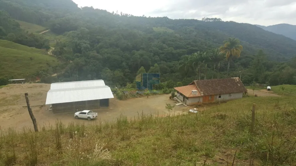 TERRENO COM PASTAGEM A VENDA EM NOVA TRENTO COM PASTO E CAHOEIRA