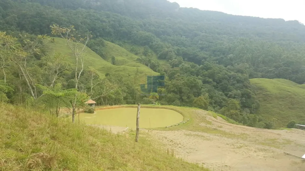 TERRENO COM PASTAGEM A VENDA EM NOVA TRENTO COM PASTO E CAHOEIRA