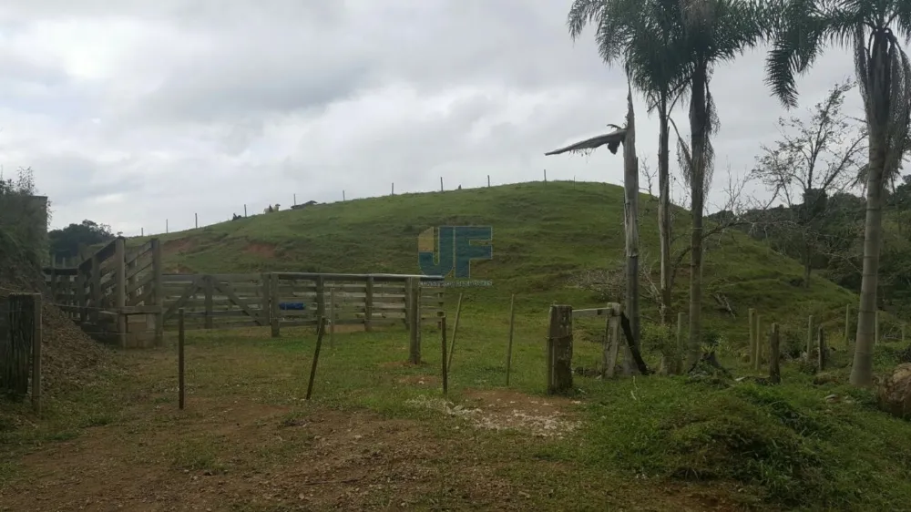 TERRENO COM PASTAGEM A VENDA EM NOVA TRENTO COM PASTO E CAHOEIRA