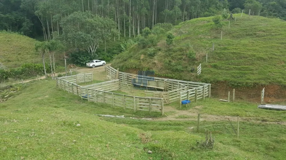 TERRENO COM PASTAGEM A VENDA EM NOVA TRENTO COM PASTO E CAHOEIRA