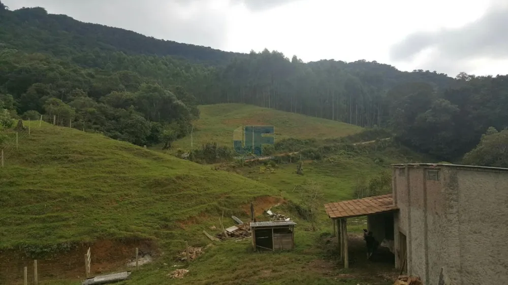 TERRENO COM PASTAGEM A VENDA EM NOVA TRENTO COM PASTO E CAHOEIRA