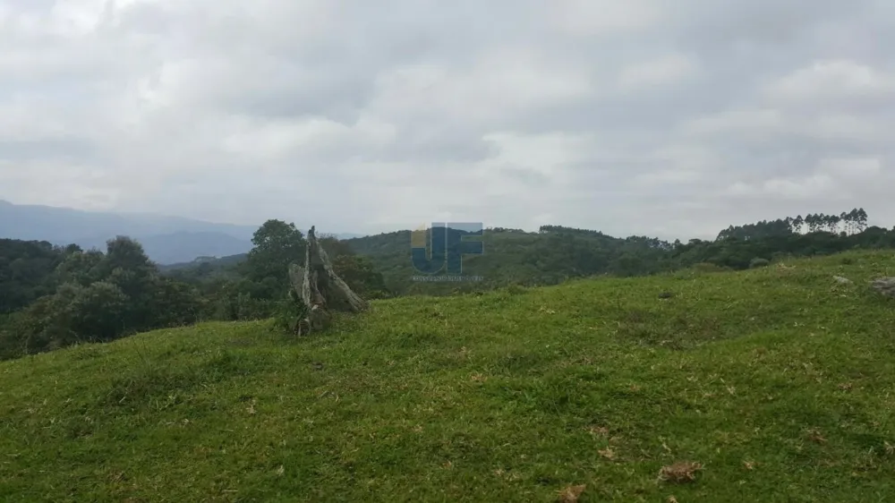 TERRENO COM PASTAGEM A VENDA EM NOVA TRENTO COM PASTO E CAHOEIRA