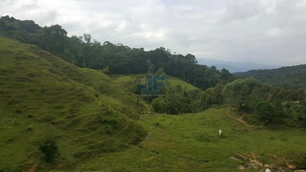 TERRENO COM PASTAGEM A VENDA EM NOVA TRENTO COM PASTO E CAHOEIRA