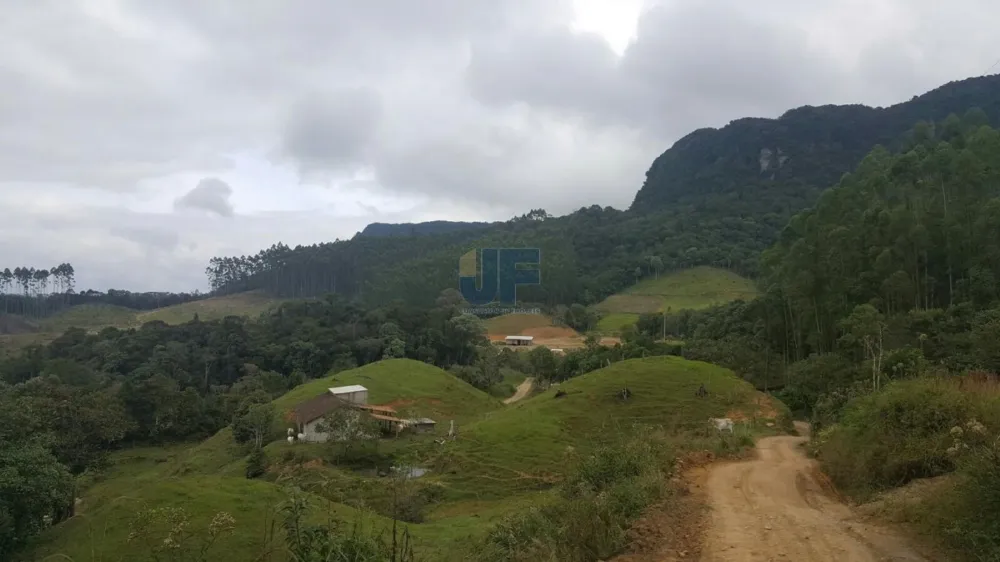 TERRENO COM PASTAGEM A VENDA EM NOVA TRENTO COM PASTO E CAHOEIRA