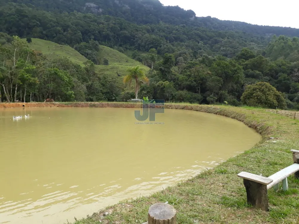 TERRENO COM PASTAGEM A VENDA EM NOVA TRENTO COM PASTO E CAHOEIRA
