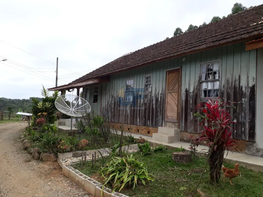 TERRENO COM PASTAGEM A VENDA EM NOVA TRENTO COM PASTO E CAHOEIRA