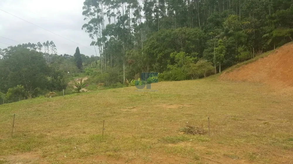 TERRENO COM PASTAGEM A VENDA EM NOVA TRENTO COM PASTO E CAHOEIRA