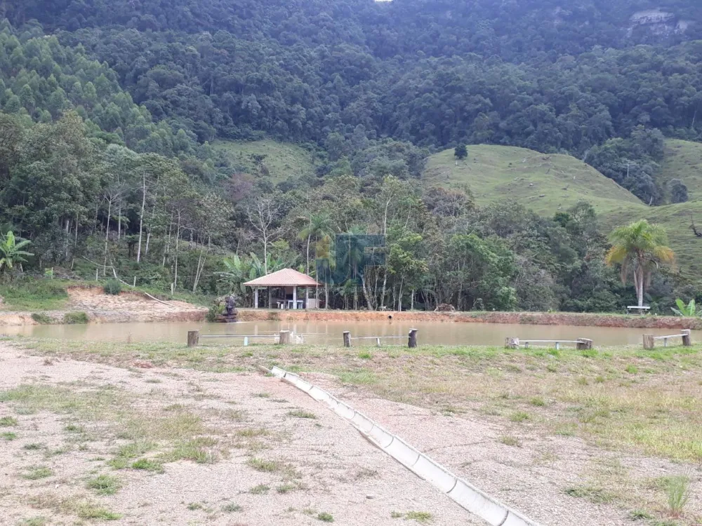 TERRENO COM PASTAGEM A VENDA EM NOVA TRENTO COM PASTO E CAHOEIRA