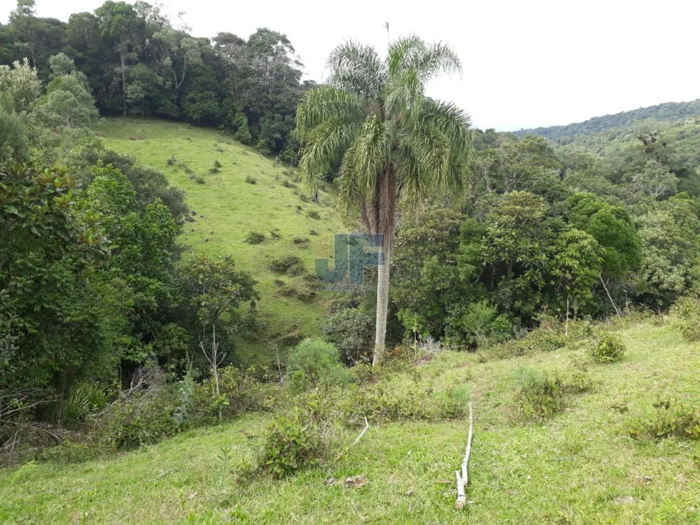 TERRENO COM PASTAGEM A VENDA EM NOVA TRENTO COM PASTO E CAHOEIRA
