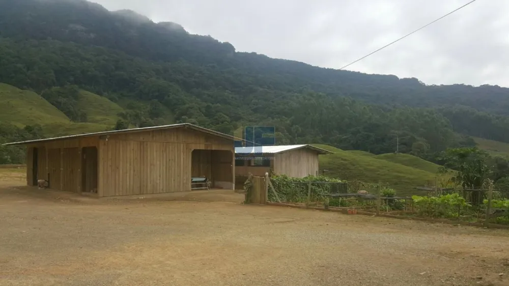 TERRENO COM PASTAGEM A VENDA EM NOVA TRENTO COM PASTO E CAHOEIRA