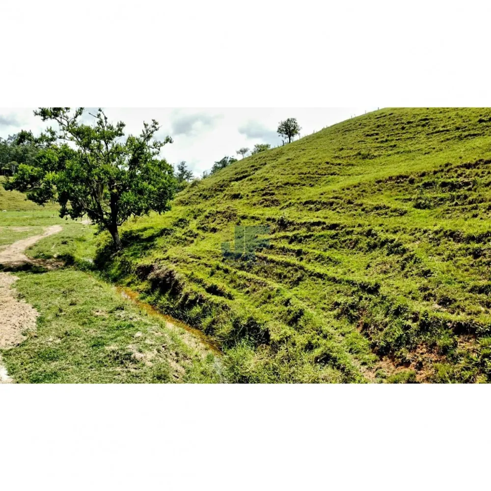 Excelente sítio a venda com área total de 6 hectares Canelinha SC