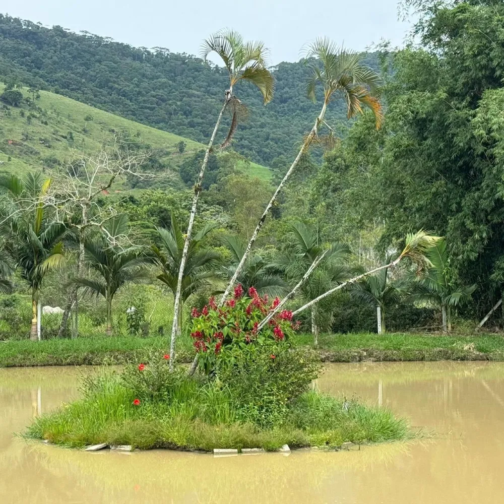  Sítio de Alto Padrão à Venda em  Camboriú – SC