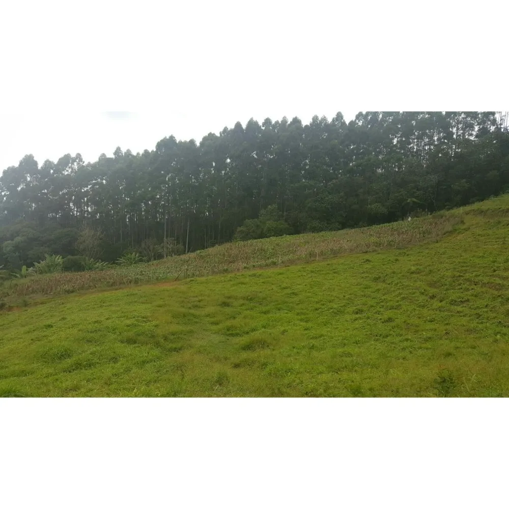 Esse sítio em Nova Trento é um verdadeiro refúgio para quem busca qualidade.