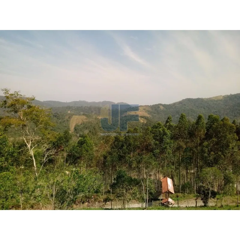 Excelente sitio na vila das Pedras em Camboriú. Possui 8.000 m² de área