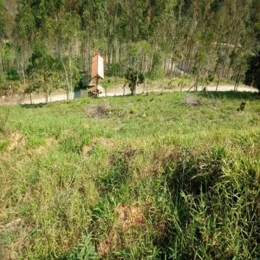 Excelente sitio na vila das Pedras em Camboriú. Possui 8.000 m² de área