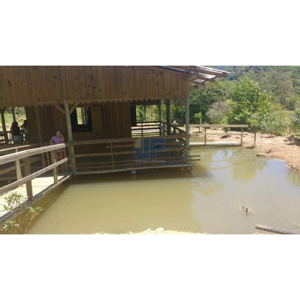 Sítio / Chácara 3 quartos para Venda no bairro Braço em Camboriú