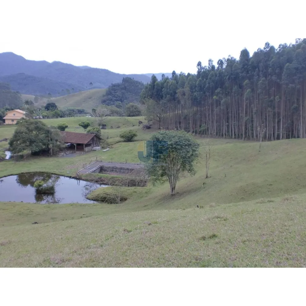 Sítio / Chácara 3 quartos para Venda no bairro Braço em Camboriú