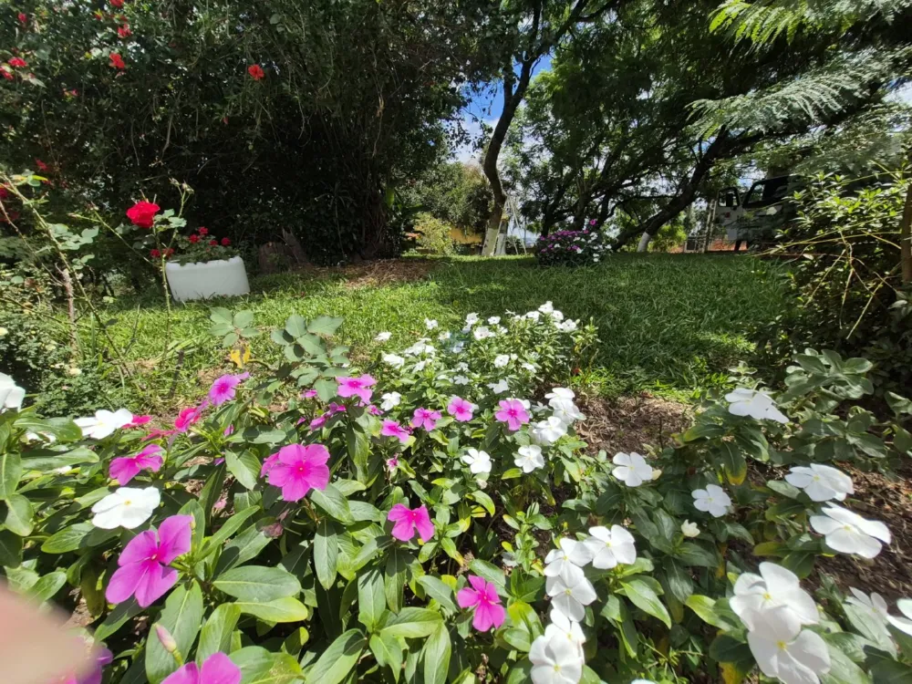 Chácara à Venda – Pugas de Cima, Palmeira/PR Área Total: 5.554,125 m²