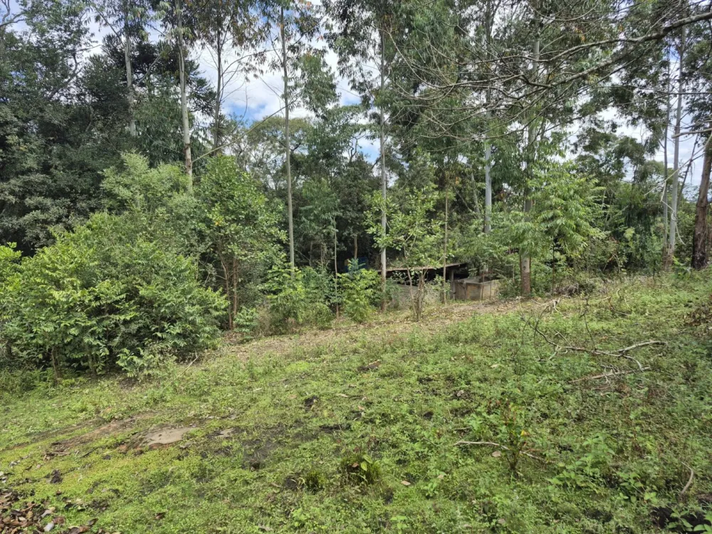 Chácara à Venda – Pugas de Cima, Palmeira/PR Área Total: 5.554,125 m²