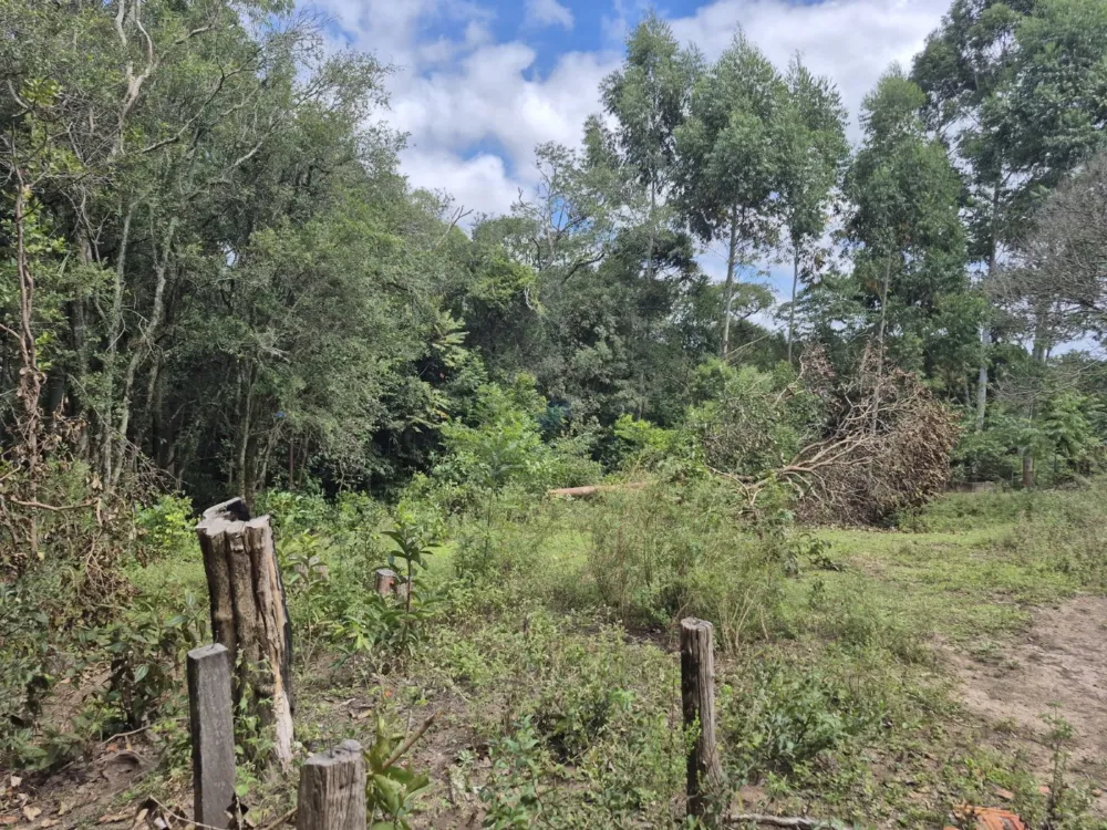 Chácara à Venda – Pugas de Cima, Palmeira/PR Área Total: 5.554,125 m²