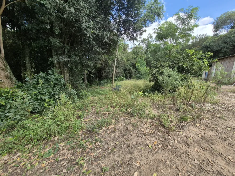 Chácara à Venda – Pugas de Cima, Palmeira/PR Área Total: 5.554,125 m²